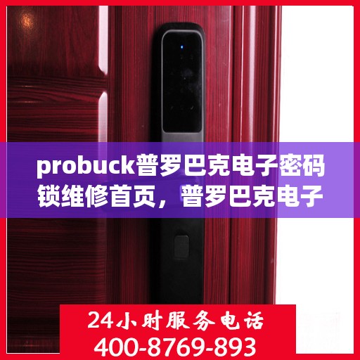 probuck普罗巴克电子密码锁维修首页，普罗巴克电子密码锁维修服务 - 一站式解决方案