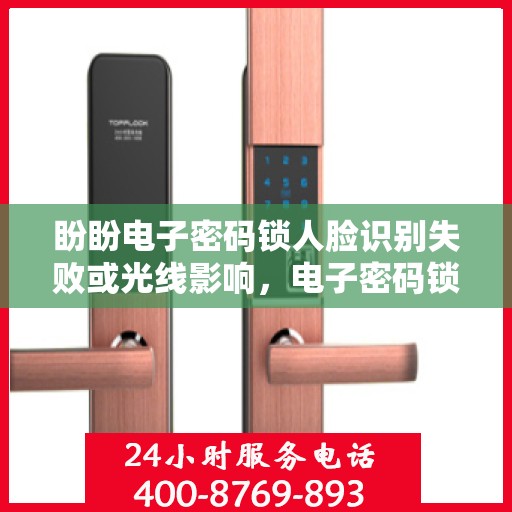 盼盼电子密码锁人脸识别失败或光线影响，电子密码锁，人脸识别失败的常见原因及解决办法