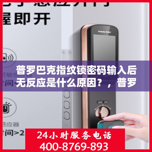 普罗巴克指纹锁密码输入后无反应是什么原因？，普罗巴克指纹锁密码输入后无反应的解决方法