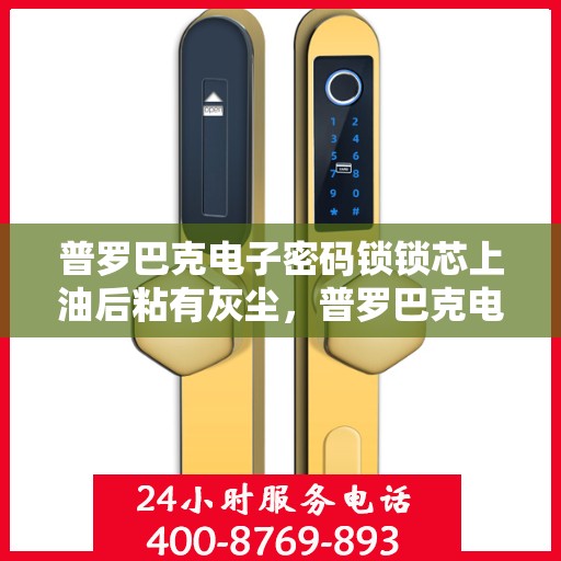 普罗巴克电子密码锁锁芯上油后粘有灰尘，普罗巴克电子密码锁锁芯上油后粘有灰尘的解决方案