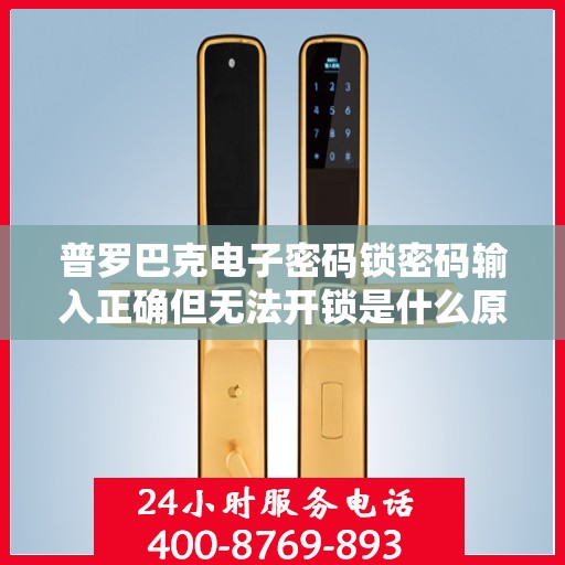 普罗巴克电子密码锁密码输入正确但无法开锁是什么原因？，普罗巴克电子密码锁密码输入正确但无法开锁的原因分析