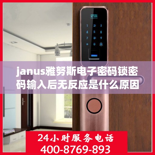 janus雅努斯电子密码锁密码输入后无反应是什么原因？，Janus雅努斯电子密码锁密码输入后无反应的常见原因分析