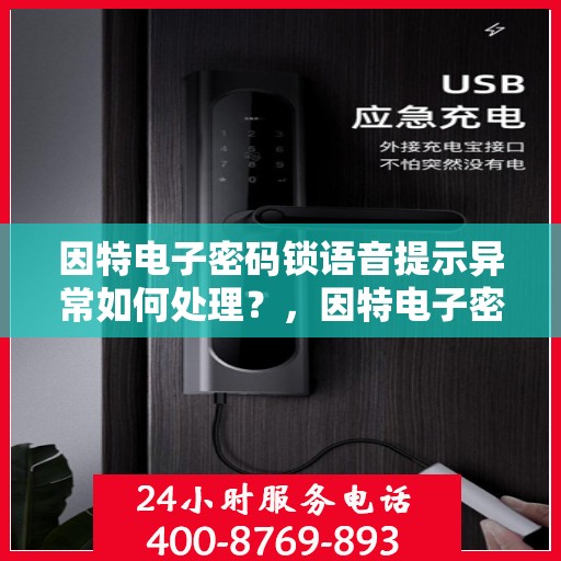 因特电子密码锁语音提示异常如何处理？，因特电子密码锁语音提示异常的故障排查与解决方法