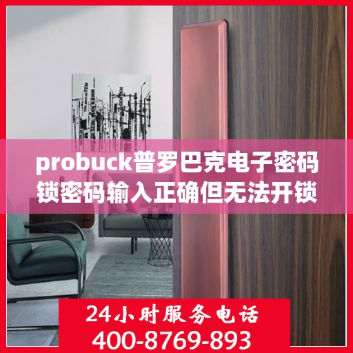 probuck普罗巴克电子密码锁密码输入正确但无法开锁是什么原因？，为什么电子密码锁输入正确密码也无法打开？
