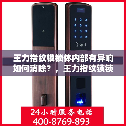王力指纹锁锁体内部有异响如何消除？，王力指纹锁锁体内部异响的解决方法