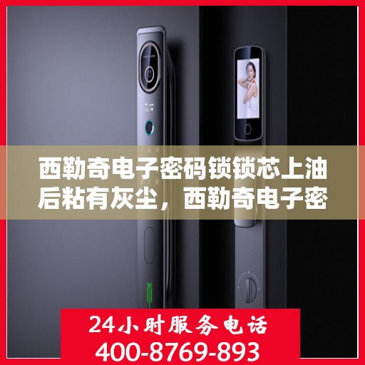 西勒奇电子密码锁锁芯上油后粘有灰尘，西勒奇电子密码锁，上油后为何粘满灰尘？
