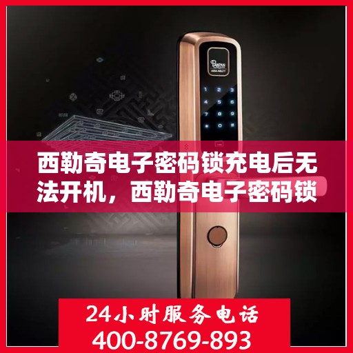 西勒奇电子密码锁充电后无法开机，西勒奇电子密码锁充电后无法开机故障排查指南