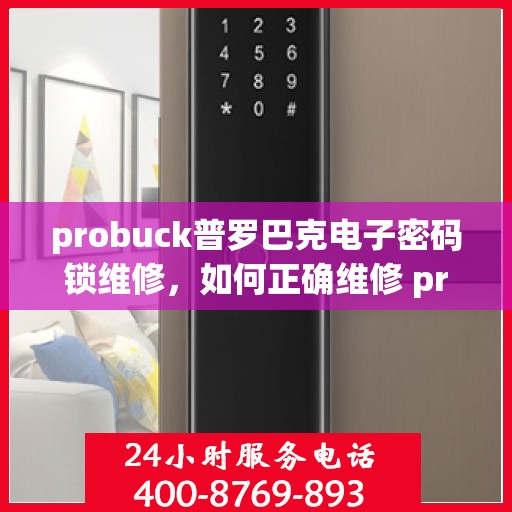 probuck普罗巴克电子密码锁维修，如何正确维修 probuck 普罗巴克电子密码锁，步骤与技巧分享