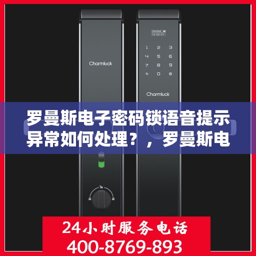 罗曼斯电子密码锁语音提示异常如何处理？，罗曼斯电子密码锁语音提示异常的故障排查方法