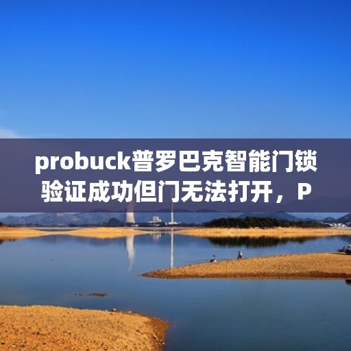 probuck普罗巴克智能门锁验证成功但门无法打开，Probuck Prorack Smart Lock Verified but Unable to Open Door