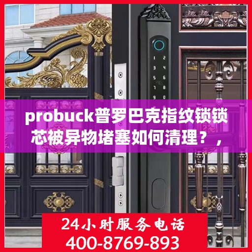 probuck普罗巴克指纹锁锁芯被异物堵塞如何清理？，解决 probuck 普罗巴克指纹锁锁芯堵塞问题的步骤