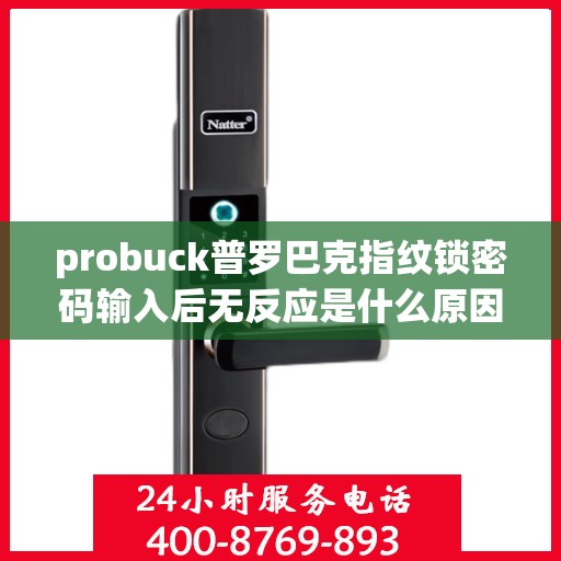 probuck普罗巴克指纹锁密码输入后无反应是什么原因？，问题，probuck 普罗巴克指纹锁密码输入后无反应的原因分析