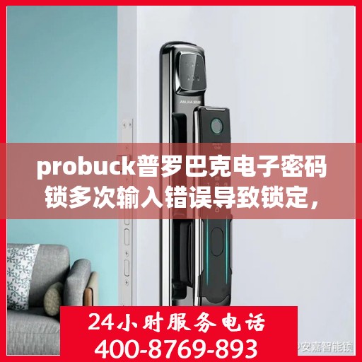 probuck普罗巴克电子密码锁多次输入错误导致锁定，Probuck Proutek Probaq Electronic Lock: Multiple Incorrect Password Attempts Result in Locking