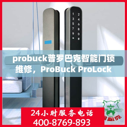 probuck普罗巴克智能门锁维修，ProBuck ProLock智能门锁故障排查与维修指南