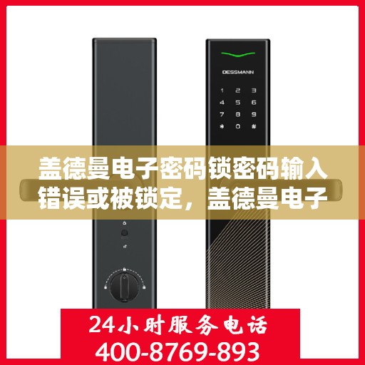 盖德曼电子密码锁密码输入错误或被锁定，盖德曼电子密码锁，破解密码输入错误和锁定方法详解