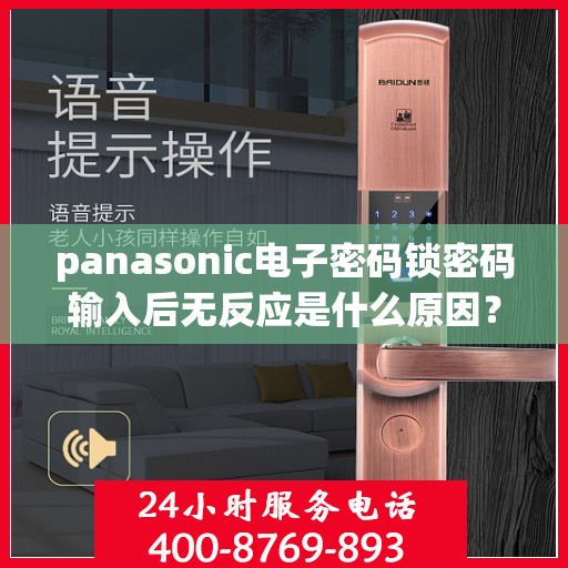 panasonic电子密码锁密码输入后无反应是什么原因？，Panasonic电子密码锁密码输入后无反应的可能原因分析
