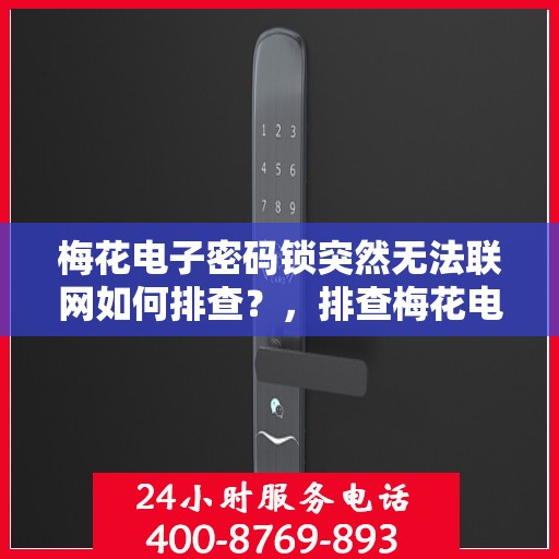 梅花电子密码锁突然无法联网如何排查？，排查梅花电子密码锁无法联网故障的方法