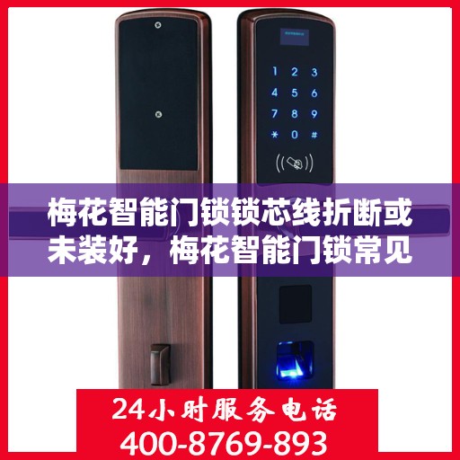 梅花智能门锁锁芯线折断或未装好，梅花智能门锁常见问题及解决方案，锁芯线折断与安装不当
