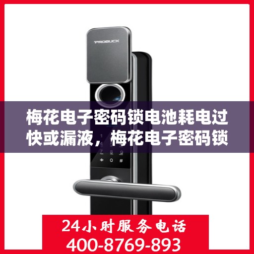 梅花电子密码锁电池耗电过快或漏液，梅花电子密码锁电池问题，耗电过快与漏液解决策略