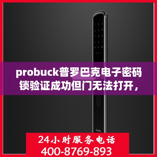 probuck普罗巴克电子密码锁验证成功但门无法打开，Probuck Probaq 电子密码锁，验证成功却无法开门