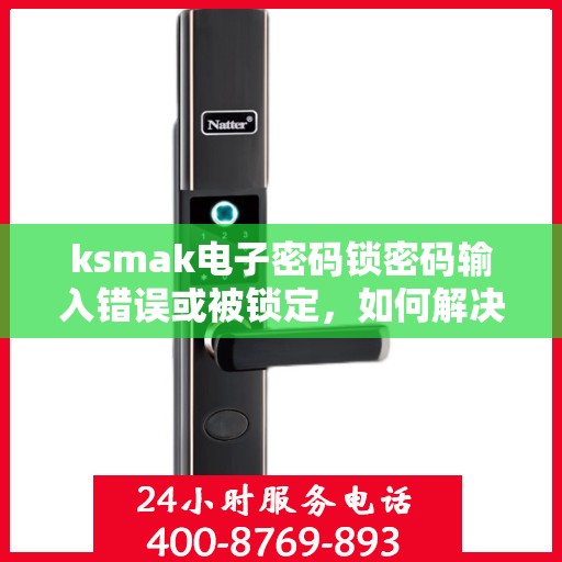 ksmak电子密码锁密码输入错误或被锁定，如何解决电子密码锁的密码输入错误与锁定问题