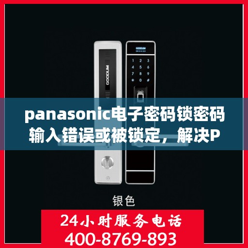 panasonic电子密码锁密码输入错误或被锁定，解决Panasonic电子密码锁的密码输入错误与锁定问题指南