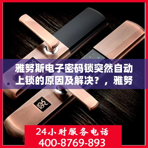 雅努斯电子密码锁突然自动上锁的原因及解决？，雅努斯电子密码锁自动上锁的常见原因及处理方法