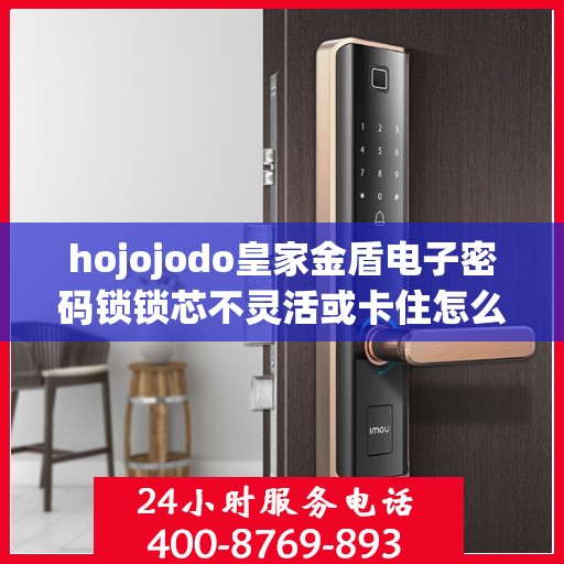 hojojodo皇家金盾电子密码锁锁芯不灵活或卡住怎么办？，hojojodo皇家金盾电子密码锁锁芯卡顿解决方案指南