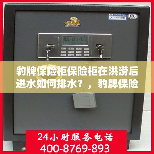 豹牌保险柜保险柜在洪涝后进水如何排水？，豹牌保险柜进水后的排水方法与应急措施指南