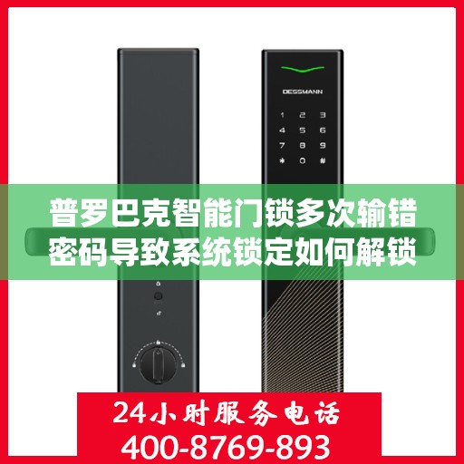 普罗巴克智能门锁多次输错密码导致系统锁定如何解锁？，普罗巴克智能门锁频繁输入错误密码后如何解除锁定状态？