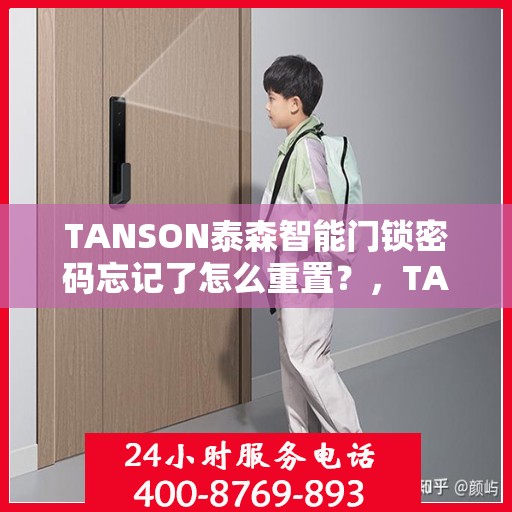 TANSON泰森智能门锁密码忘记了怎么重置？，TANSON泰森智能门锁密码重置指南，忘记密码怎么办？