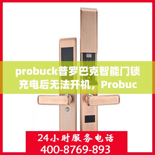 probuck普罗巴克智能门锁充电后无法开机，Probuck Probarak Smart Lock Unable to Power On After Charging
