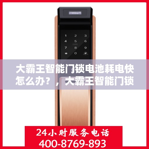 大霸王智能门锁电池耗电快怎么办？，大霸王智能门锁电池快速耗电解决方法指南