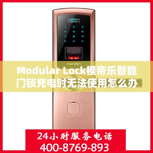 Modular Lock模帝乐智能门锁充电时无法使用怎么办？，Modular Lock模帝乐智能门锁充电故障排查与解决方案