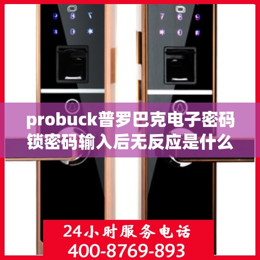probuck普罗巴克电子密码锁密码输入后无反应是什么原因？，为什么密码输入后probuck普罗巴克电子密码锁没有反应？