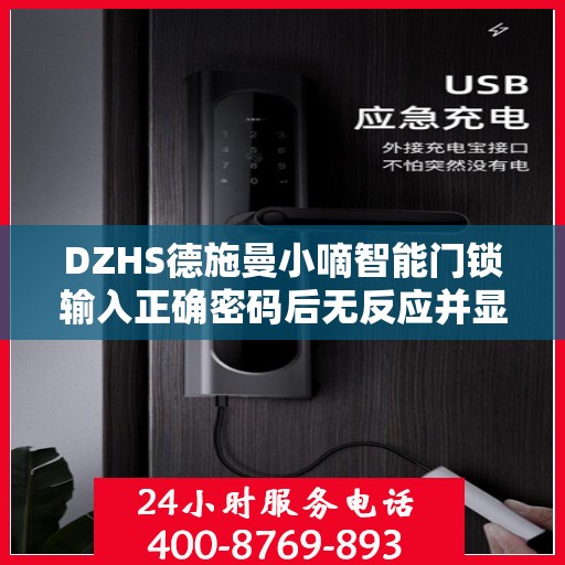 DZHS德施曼小嘀智能门锁输入正确密码后无反应并显示错误信息怎么办？，德施曼小嘀智能门锁密码输入无误却报错？解决方法大揭秘！