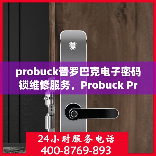probuck普罗巴克电子密码锁维修服务，Probuck Proutec Electronic Lock Repair Service